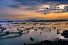 溧阳伴游中国网景点丰富(旅游网介绍)