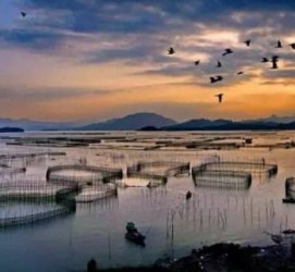 溧阳伴游中国网景点丰富(旅游网介绍)
