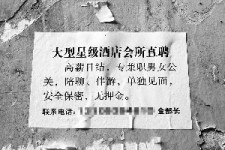 溧阳珠海伴游雇用网(珠海游览社雇用信息)