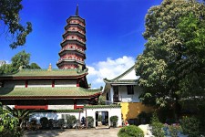 溧阳广州自由行(广州 自由行)