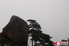 溧阳上海伴游私家陪游雇用女模(上海伴游私家陪游雇用女模特)