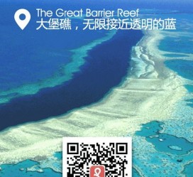 溧阳中国250家旅行社结伴游新西兰(新西兰当地旅行社)