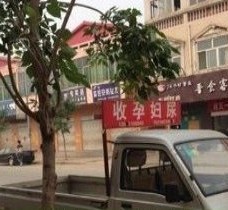 溧阳上海伴游 用伴游造句大全(5