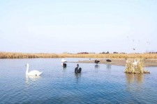 溧阳南昌附近伴游小妹兼职(1534939978姐的微信德惠市)