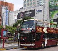 溧阳上海私人伴游 上海过年怎么玩？这些“微游”线路了解下→