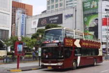 溧阳上海私人伴游 上海过年怎么玩？这些“微游”线路了解下→