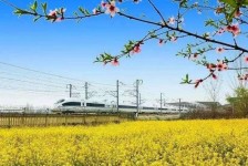 溧阳高铁游(高铁游戏下载手机版)