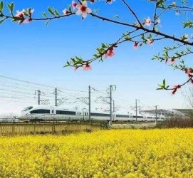 溧阳高铁游(高铁游戏下载手机版)