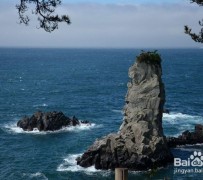溧阳旅游全攻略(上海旅游全攻略)
