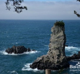 溧阳旅游全攻略(上海旅游全攻略)