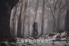 溧阳上海私人伴游 上海伴游，上海兼职伴游安全吗