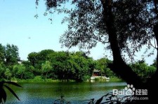 溧阳西湖旅游攻略(上海到杭州西湖旅游攻略)