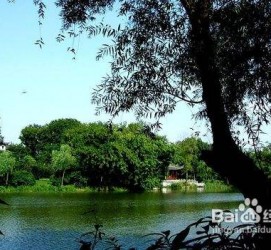 溧阳西湖旅游攻略(上海到杭州西湖旅游攻略)