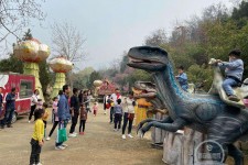 溧阳中国伴游带你打卡网红南山竹海(南山竹海网上预约)
