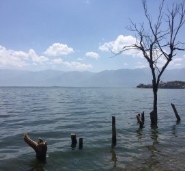溧阳洱海旅游攻略(洱海旅游攻略自由行)
