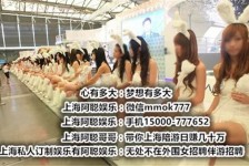溧阳雇用旅游男伴游(北京商务酒店雇用伴游)