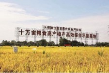 溧阳关于成都商务伴游外围雇用的信息