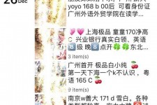 溧阳外围伴游雇用圈套(雇用伴游什么样子的是实的)