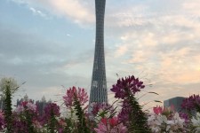 溧阳广州旅游攻略(杭州到广州旅游攻略)