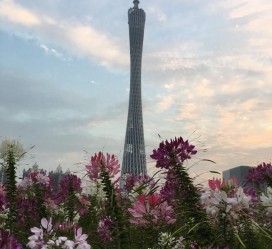 溧阳广州旅游攻略(杭州到广州旅游攻略)