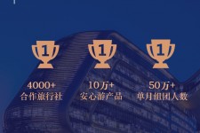 溧阳上海私人伴游 ​ “小而美”的新时代：2020年国内新跟团消费报告
