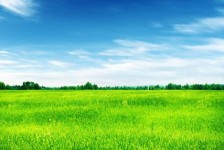 溧阳上海伴游 上海模特伴游微信号的交友宣言
