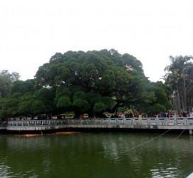 溧阳福州旅游攻略(福州旅游攻略二日游)