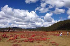 溧阳旅游去处(暑期最好的旅游去处)
