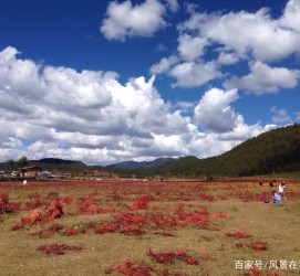 溧阳旅游去处(暑期最好的旅游去处)