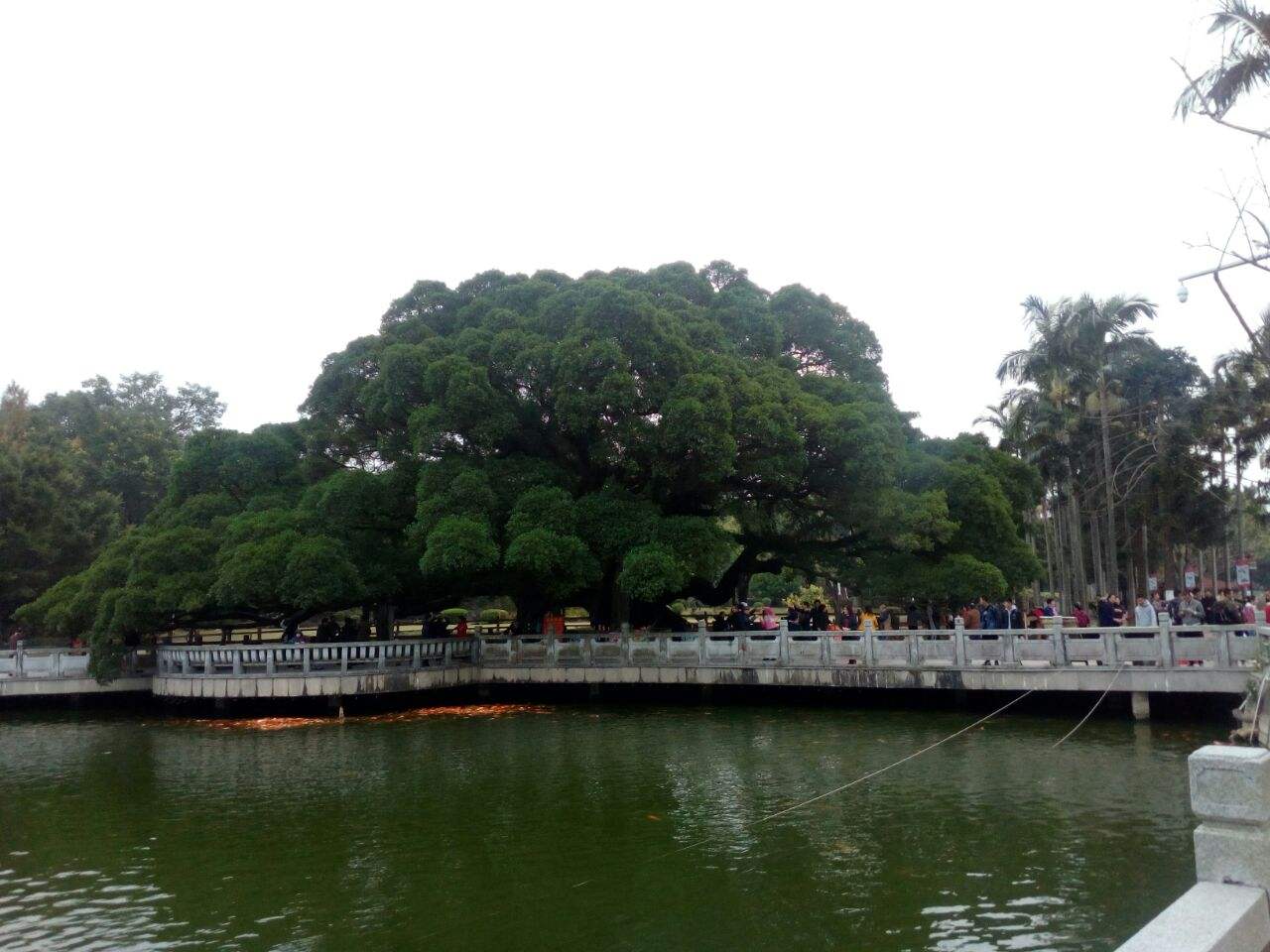 福州旅游攻略(福州旅游攻略二日游)