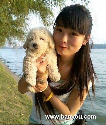 伴玩中国和美美伴游网哪个好(伴游app哪个好)