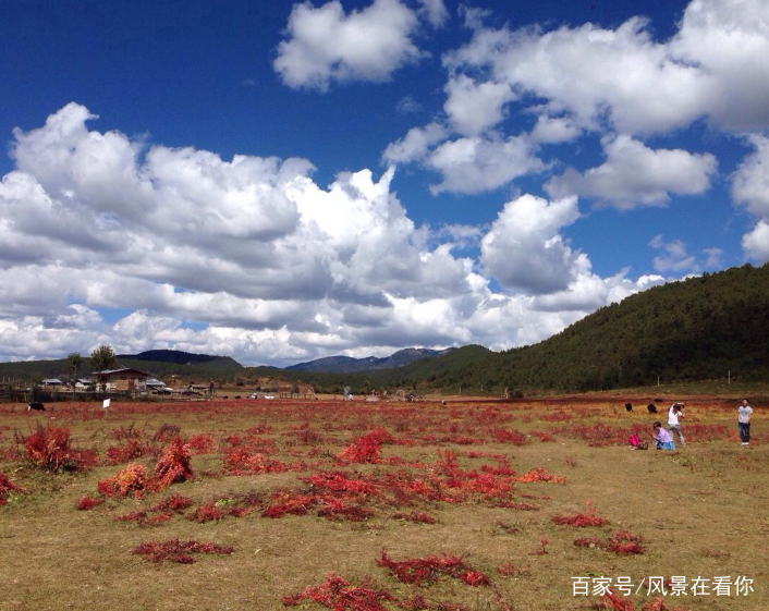 旅游去处(暑期最好的旅游去处)